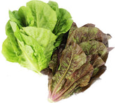 Fresh organic romaine lettuce (Polish) (approx. 100 g)